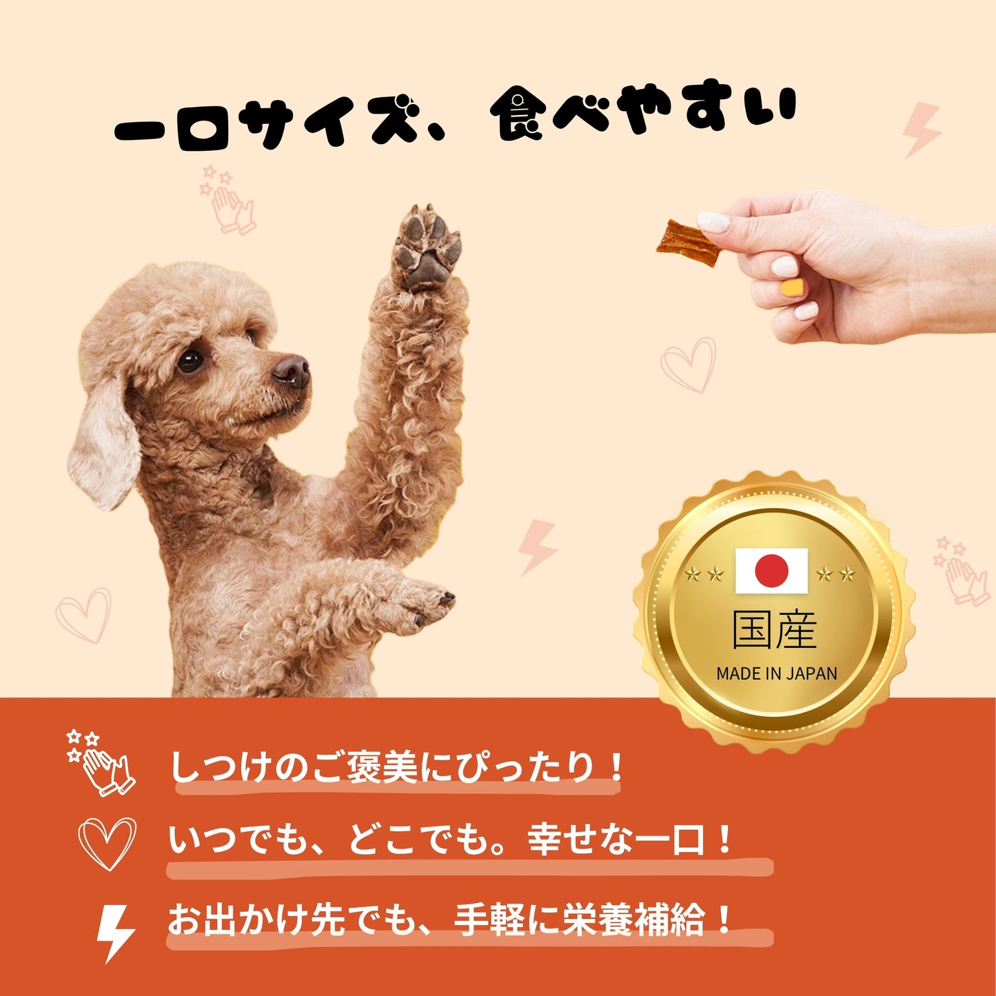 ミックスジャーキー［チキン・サーモン・にんじん入り］大容量【国産】