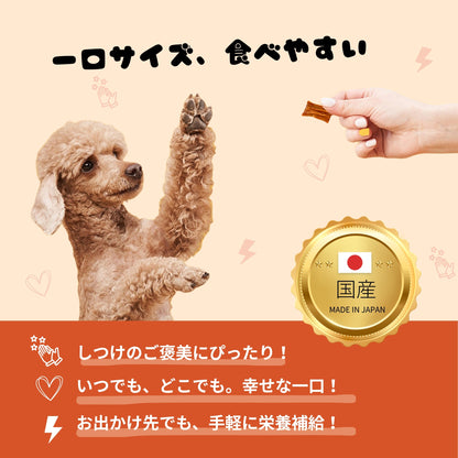 ミックスジャーキー［チキン・サーモン・にんじん入り］大容量【国産】