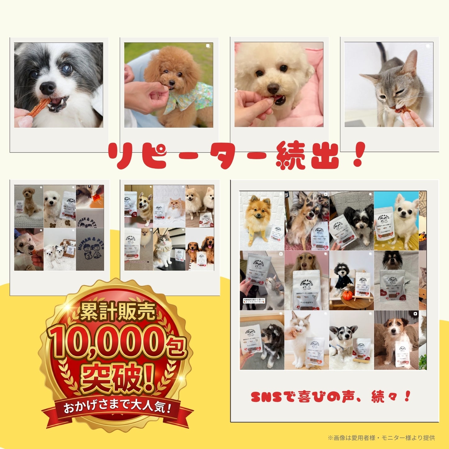 ミックスジャーキー［チキン・サーモン・にんじん入り］3袋入り【国産】