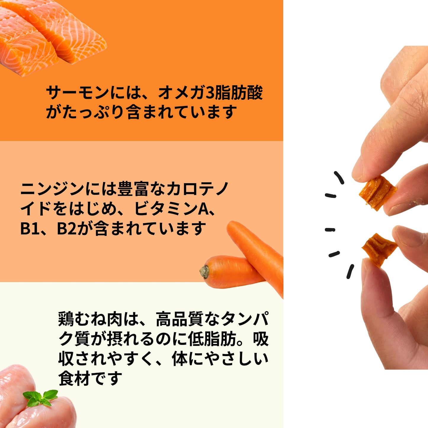 ミックスジャーキー［チキン・サーモン・にんじん入り］大容量【国産】