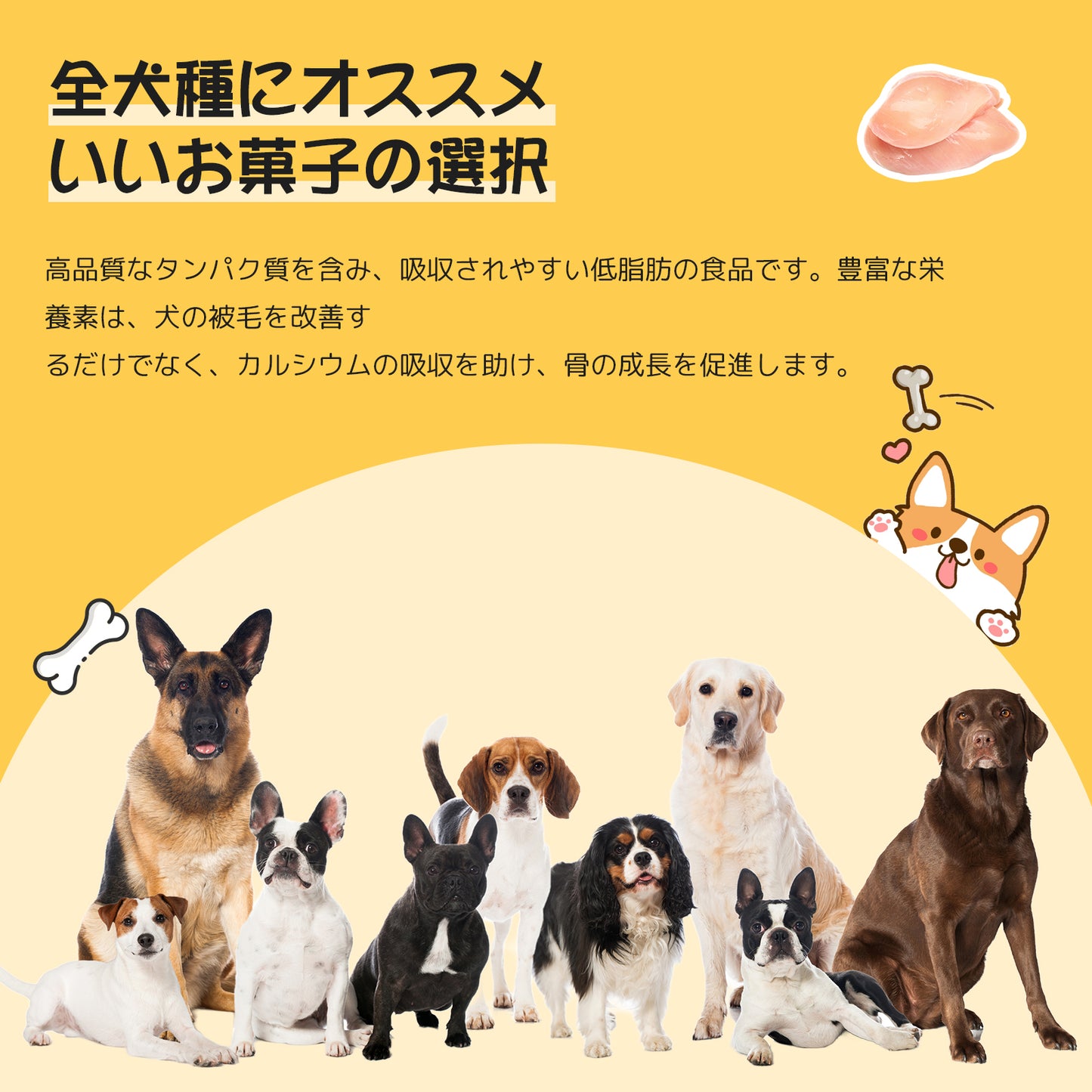 ミックスジャーキー 犬猫おやつ [国産鳥＆サーモン＆野菜ニンジン]