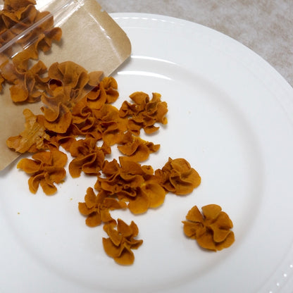 かぼちゃフラワークッキー 犬用【国産】