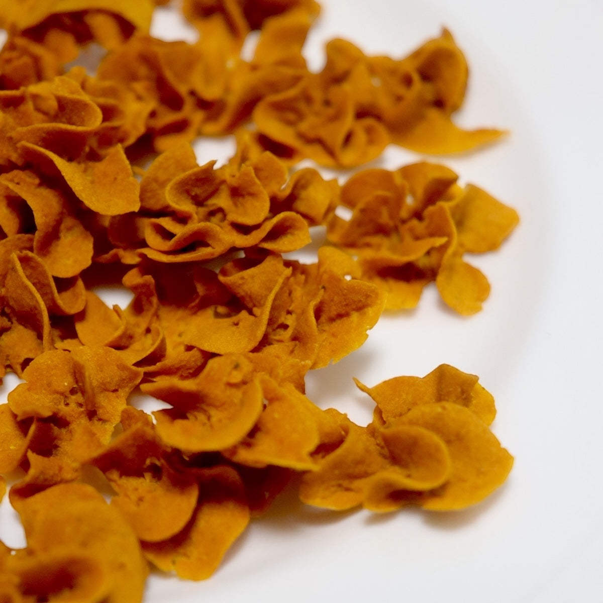 かぼちゃフラワークッキー 犬用【国産】