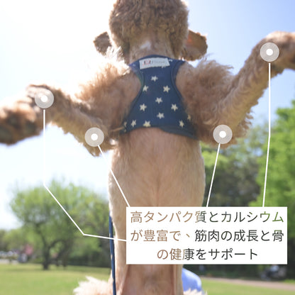 HUMAN&PETS ヒマラヤ産ヤクチーズ 無添加犬おやつ ハード ヤクミルクスティック 5本入り (S) 約150g