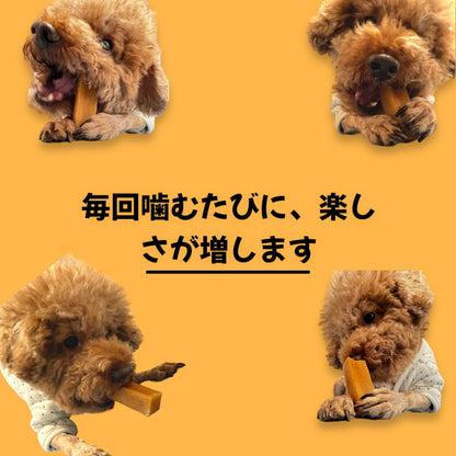 HUMAN&PETS ヒマラヤ産ヤクチーズ 無添加犬おやつ ハード ヤクミルクスティック 5本入り (S) 約150g