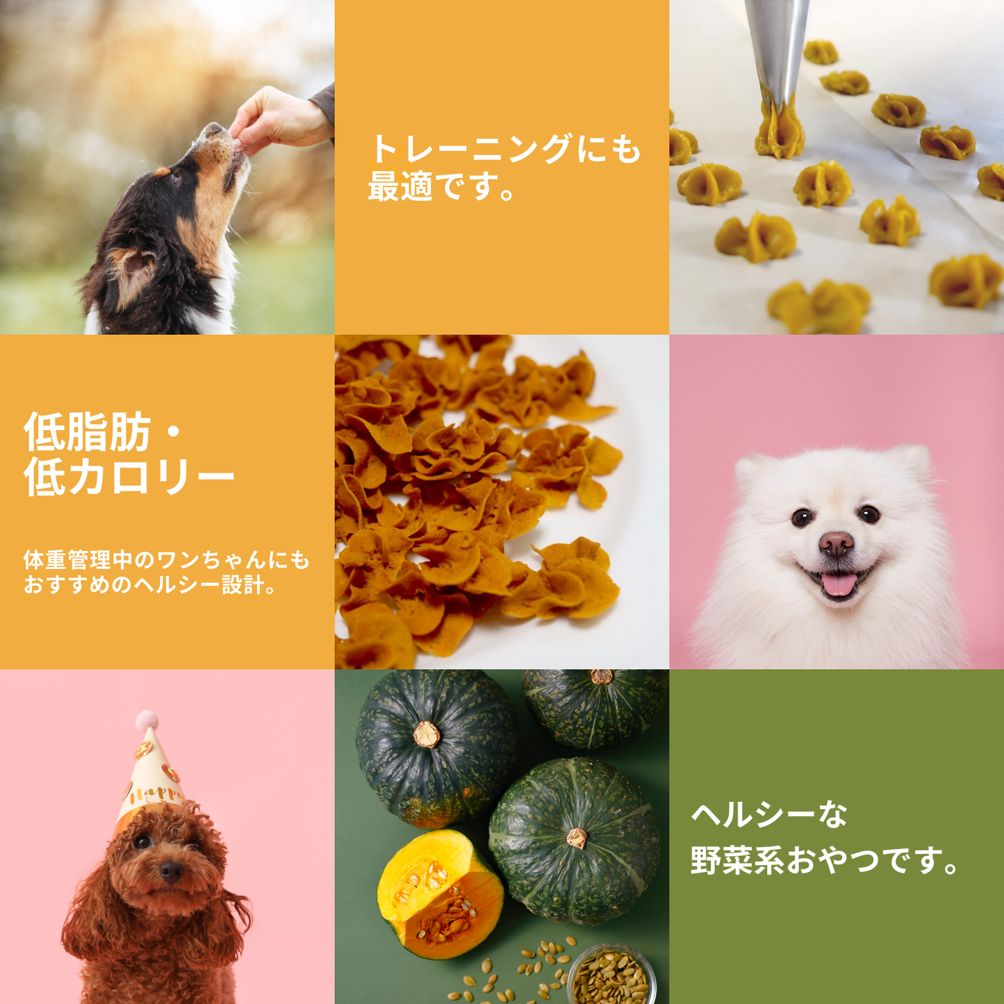 かぼちゃフラワークッキー 35g 犬用【国産】