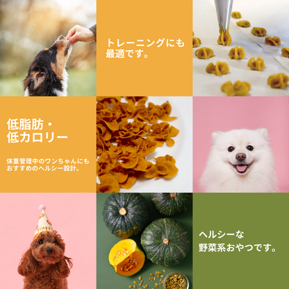 かぼちゃフラワークッキー 35g 犬用【国産】