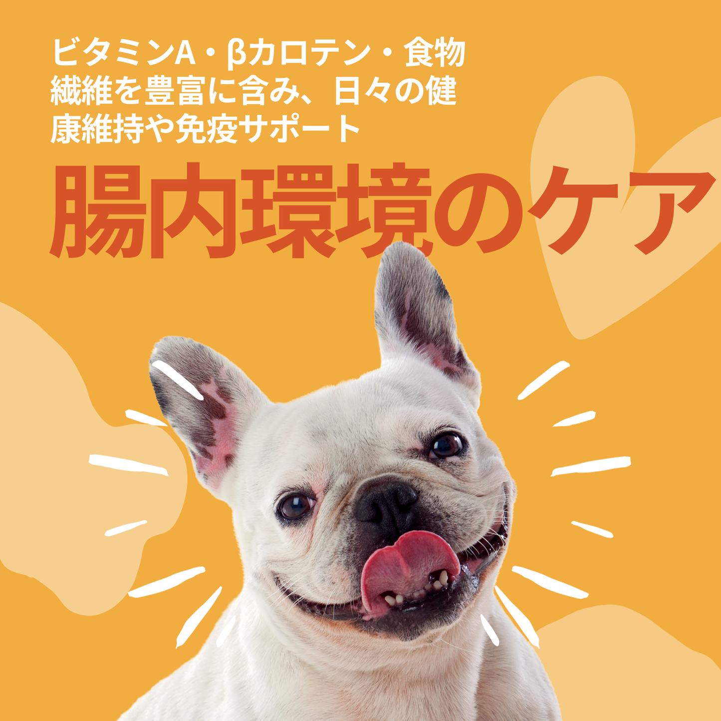 かぼちゃフラワークッキー 35g 犬用【国産】
