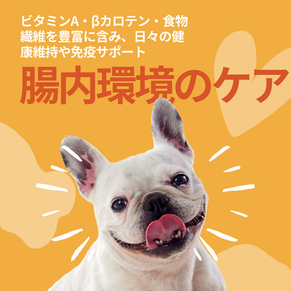 かぼちゃフラワークッキー 35g 犬用【国産】