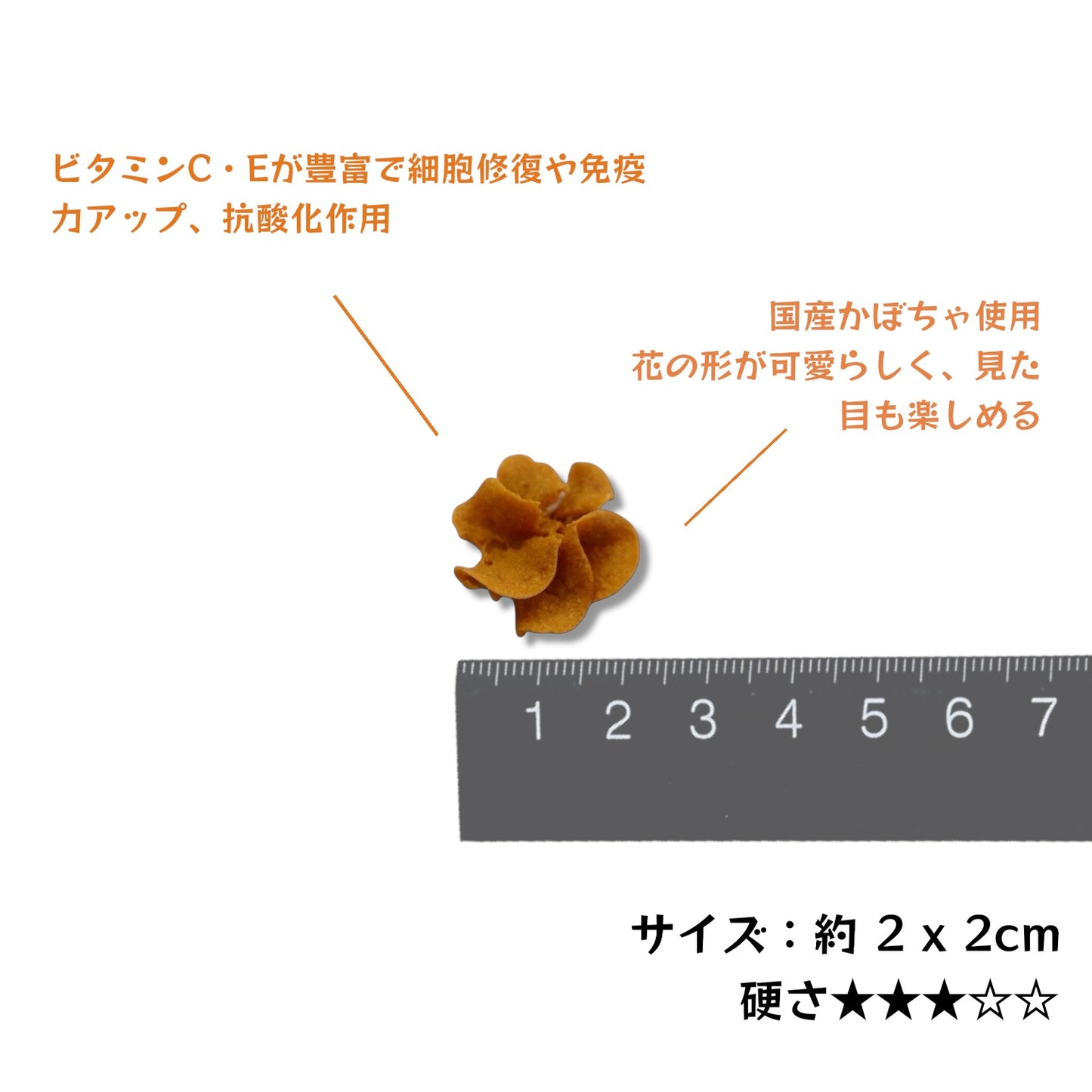 かぼちゃフラワークッキー 犬用【国産】